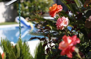 Villa Keti apartments Pool & Wellness - Photo 69