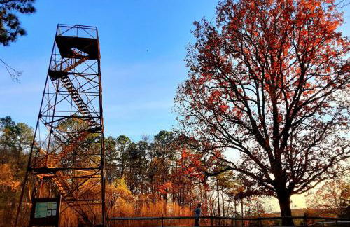 Family-Friendly 3BR Home w Bunk Room & Yard - Photo 50