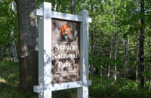 Secluded Bungalow Near Acadia and Bar Harbor -Private, Pet Friendly, Fire Pit - Foto 9