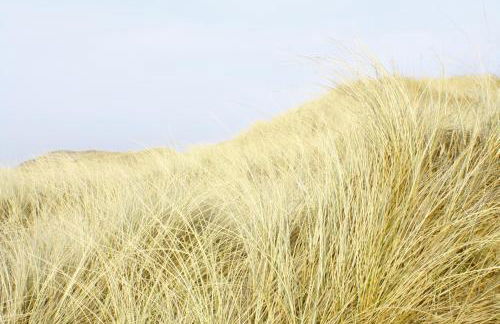 Ferienwohnung Kiekin - Foto 28