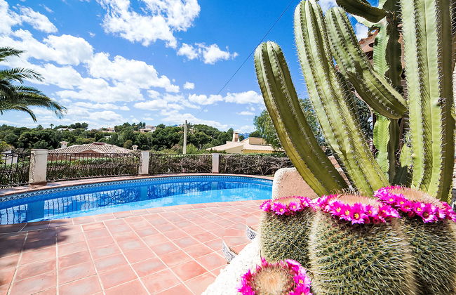 Luz y Paz - Photo 12