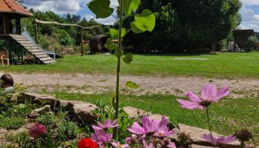 Wohnen auf dem Rittergut Friedeburg - mit direkter Nähe zur Saale - Foto 3, Garden, Garden view
