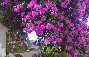 La Villa, Alojamiento Rural - Foto 11