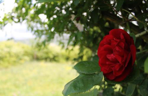 Agriturismo C'era Una Volta - Foto 7