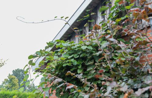 Ferienwohnung Eulennest, 35230 - Foto 16