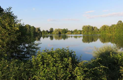 Ferienhaus am Mühlenbach, 110qm - Foto 30