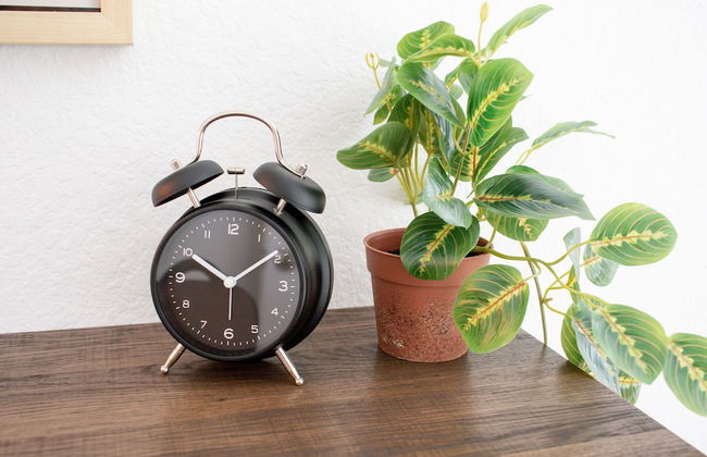 Casitas en Pueblo - Foto 44