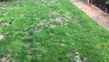 Unique one bed contemporary bungalow town centre - Foto 4