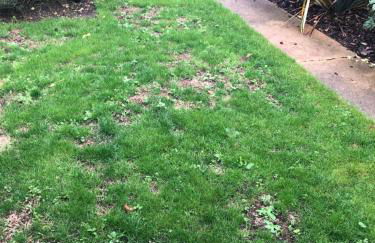 Unique one bed contemporary bungalow town centre - Foto 4