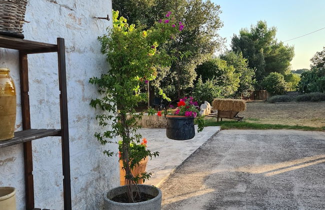 Masseria Gianca - Foto 40