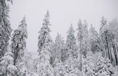 Familienurlaub pur III KINDER UND JUGENDLICHE bis 17 frei III HUND willkommen III SAUNA im Haus III Natur direkt vor der Tür III nah an Winterberg für Ski Wandern und Abenteuer - Foto 20