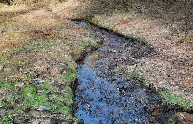 der Englische Garten - Photo 18