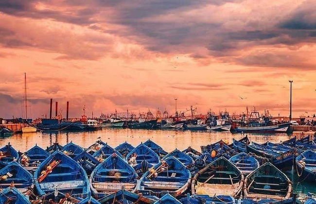 Escursione a Essaouira - Foto 6