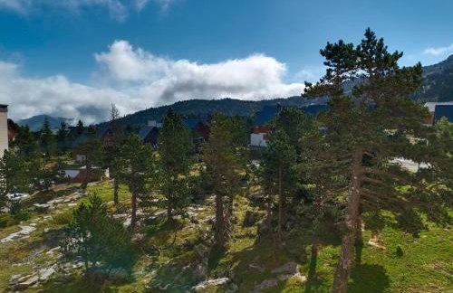 Les myrtilles La Pierre Saint Martin - Foto 15