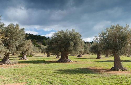 Kouvelia Country Home Luxury Villa Rental - Foto 13