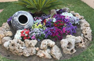 villa amapola - Photo 7