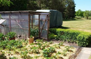 NEU Ferienhaus am Saaler Bodden - Foto 8