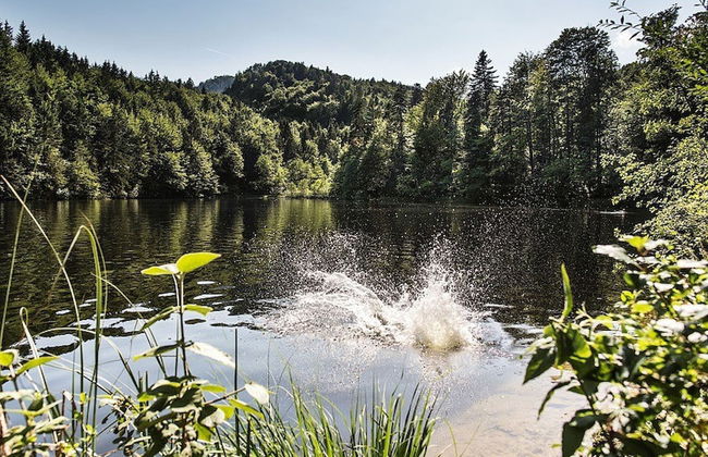 Kaiserhaus Harald Astner Ebbs Studio 2 - Foto 23