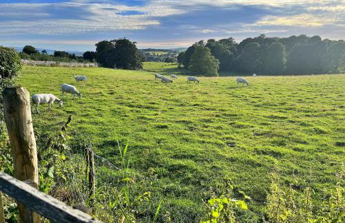 Finest Retreats - Ivy Cottage - Foto 54