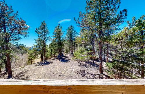 Timberline Vista - Foto 36