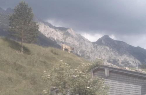 Holzhaus Besler - Foto 43