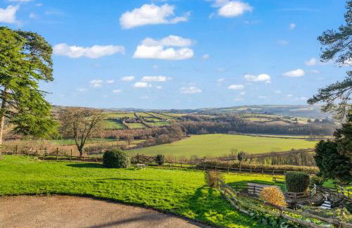 Little Silver Nugget - Foto 4