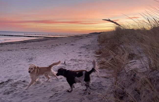 Holiday Apartment With the Sound of the sea - Foto 13