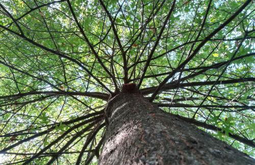 Quinta de S. Vicente 317 - Foto 76