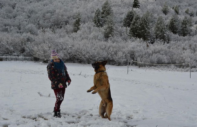 Farma Sotira - Foto 25