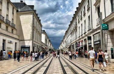 Tours - Grand appartement - centre ville parking gratuit - Foto 28