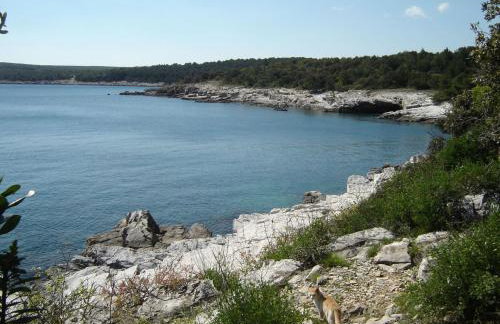 Apartment Gemütliches Appartment direkt am Strand by Interhome - Photo 21