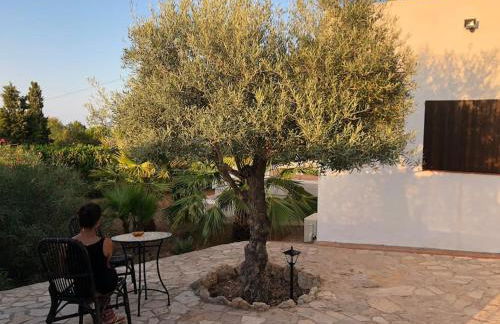 Casa en Ibiza con vistas increíbles en Es Figueral - Foto 32