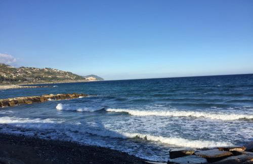 Casa Di Rosa - Photo 13