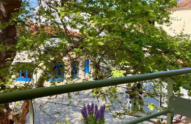 Plane Tree House - Foto 24