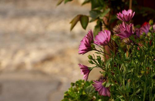 Atrapos Hotel - Foto 23