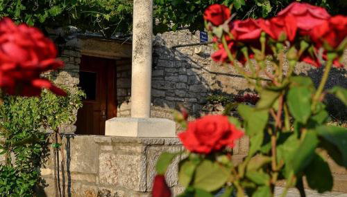 Mario (RADE) - Foto 5