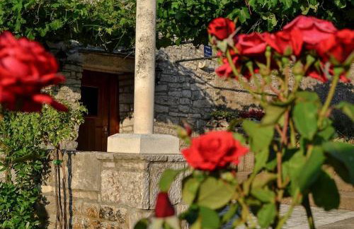 Mario (RADE) - Foto 5