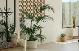 Provençal and Modern Villa ideal for families - Foto 15