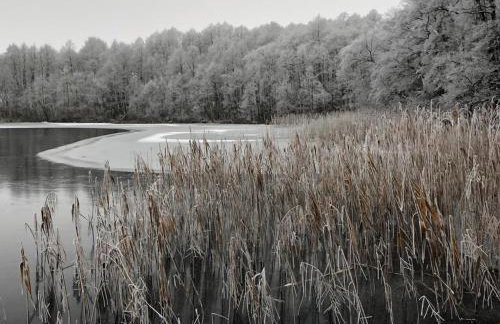 Dworek nad Jeziorem Wądzyn - Foto 46
