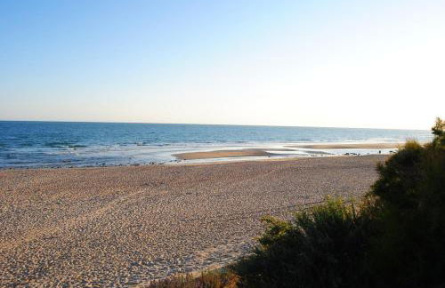 Coto de Sancti Petri - Foto 64