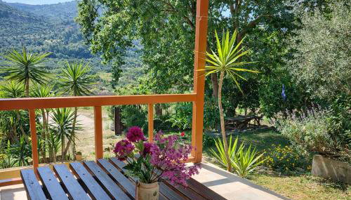 Sunshine Home - Peaceful Garden Escape & Parking - Foto 4, Garden view