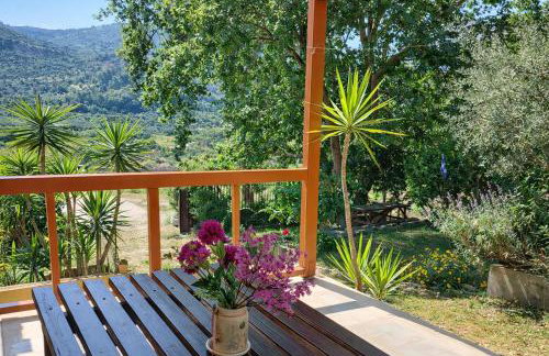 Sunshine Home - Peaceful Garden Escape & Parking - Foto 4