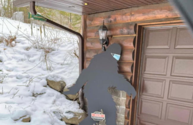 Eagle Scout Lodge - Foto 49