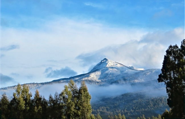 Maydena Mountain Cabins - Foto 42