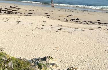 Ti an Aod Beachfront Stone Cottage Sleeps 10 OI Collection Rentals - Foto 23