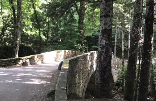 Il Gallinaio, Vivo D'Orcia - Foto 19