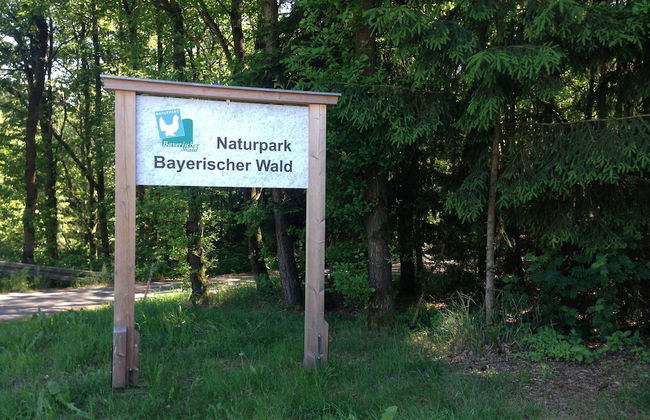 Holiday Home in Rattersberg Bavaria With Terrace - Foto 29