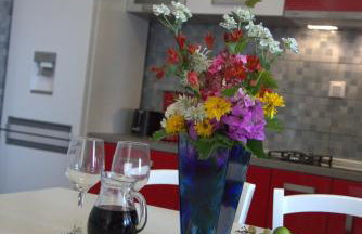 Apartments Vila Mileva - Foto 27