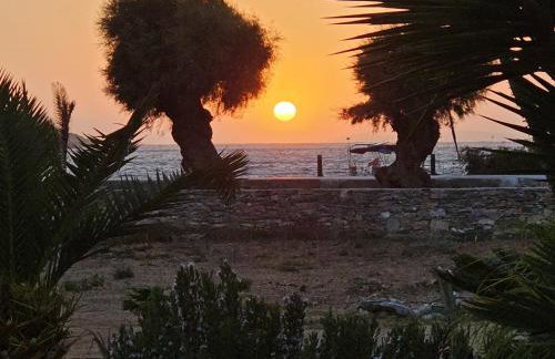 Amorgos Pearls - Foto 75