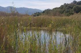 RichMarHome - Foto 61